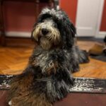 WhatsApp Image 2025-10-23 at 23.01.23_88769b83