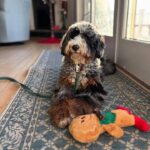 WhatsApp Image 2025-10-23 at 23.05.00_61a21bd7