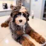 WhatsApp Image 2025-10-23 at 23.06.39_9883fd3e