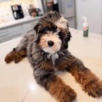 WhatsApp Image 2025-10-23 at 23.06.40_5d98e9f6