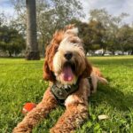 WhatsApp Image 2025-10-23 at 23.07.27_0926f85d