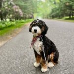 WhatsApp Image 2025-10-23 at 23.08.30_60fb7033