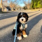 WhatsApp Image 2025-10-23 at 23.08.30_701603f8