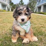 WhatsApp Image 2025-10-23 at 23.10.21_362d3561