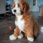 WhatsApp Image 2025-10-23 at 23.11.27_e8732814