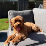 WhatsApp Image 2025-10-23 at 23.12.08_13bb0f96