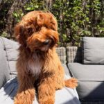 WhatsApp Image 2025-10-23 at 23.12.08_4d367c9a