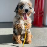 WhatsApp Image 2025-10-23 at 23.12.52_2b538d17