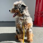 WhatsApp Image 2025-10-23 at 23.12.52_ce77a485