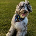 WhatsApp Image 2025-10-23 at 23.13.49_11cf5085