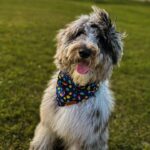 WhatsApp Image 2025-10-23 at 23.13.50_f8097aa3