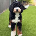 WhatsApp Image 2025-10-23 at 23.15.14_54479cf0