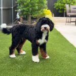 WhatsApp Image 2025-10-23 at 23.15.14_d7a2585e