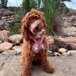 WhatsApp Image 2025-10-23 at 23.16.31_65ee157d