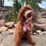 WhatsApp Image 2025-10-23 at 23.16.32_01df148b