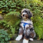 WhatsApp Image 2025-10-24 at 00.30.19_4c8e9011