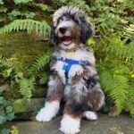 WhatsApp Image 2025-10-24 at 00.30.20_6656e96c