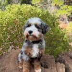 WhatsApp Image 2025-10-24 at 00.32.11_06bc6c6e