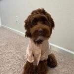 WhatsApp Image 2025-10-24 at 00.33.13_7851be6f