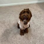 WhatsApp Image 2025-10-24 at 00.33.13_a6823b82