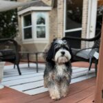 WhatsApp Image 2025-10-24 at 00.33.49_00d18408