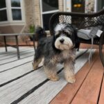 WhatsApp Image 2025-10-24 at 00.33.50_69059196