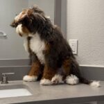 WhatsApp Image 2025-10-24 at 00.34.31_0bf857ca