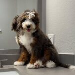 WhatsApp Image 2025-10-24 at 00.34.31_9342e9db