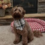 WhatsApp Image 2025-10-24 at 00.35.15_1c57e714