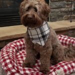 WhatsApp Image 2025-10-24 at 00.35.16_c96053a2