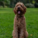 WhatsApp Image 2025-10-24 at 00.36.03_41e42aed