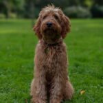 WhatsApp Image 2025-10-24 at 00.36.03_830a8665