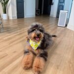 WhatsApp Image 2025-10-24 at 00.37.37_a6cf7b92