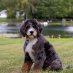 WhatsApp Image 2025-10-24 at 00.38.46_0e4d2bcd