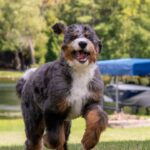 WhatsApp Image 2025-10-24 at 00.38.46_5ecf37d5