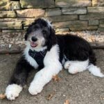 WhatsApp Image 2025-10-24 at 00.41.25_3270d608