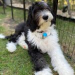 WhatsApp Image 2025-10-24 at 00.41.26_beaa5bae